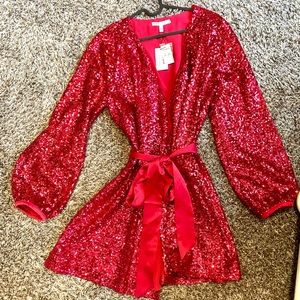 Express x Olivia Culpo Sequin Dress